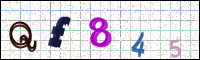 Image Verification